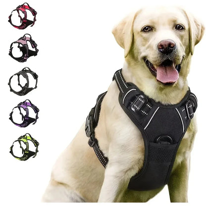 ComfortFit Leather Dog Harness & Collar Set