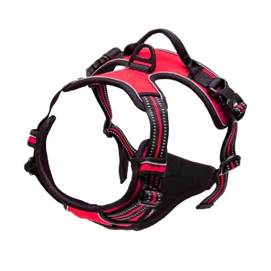 ComfortFit Leather Dog Harness & Collar Set