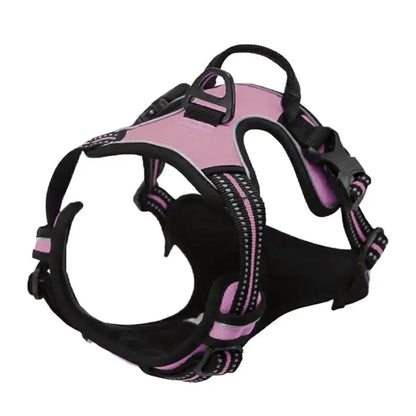 ComfortFit Leather Dog Harness & Collar Set