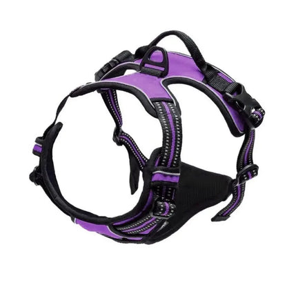 ComfortFit Leather Dog Harness & Collar Set