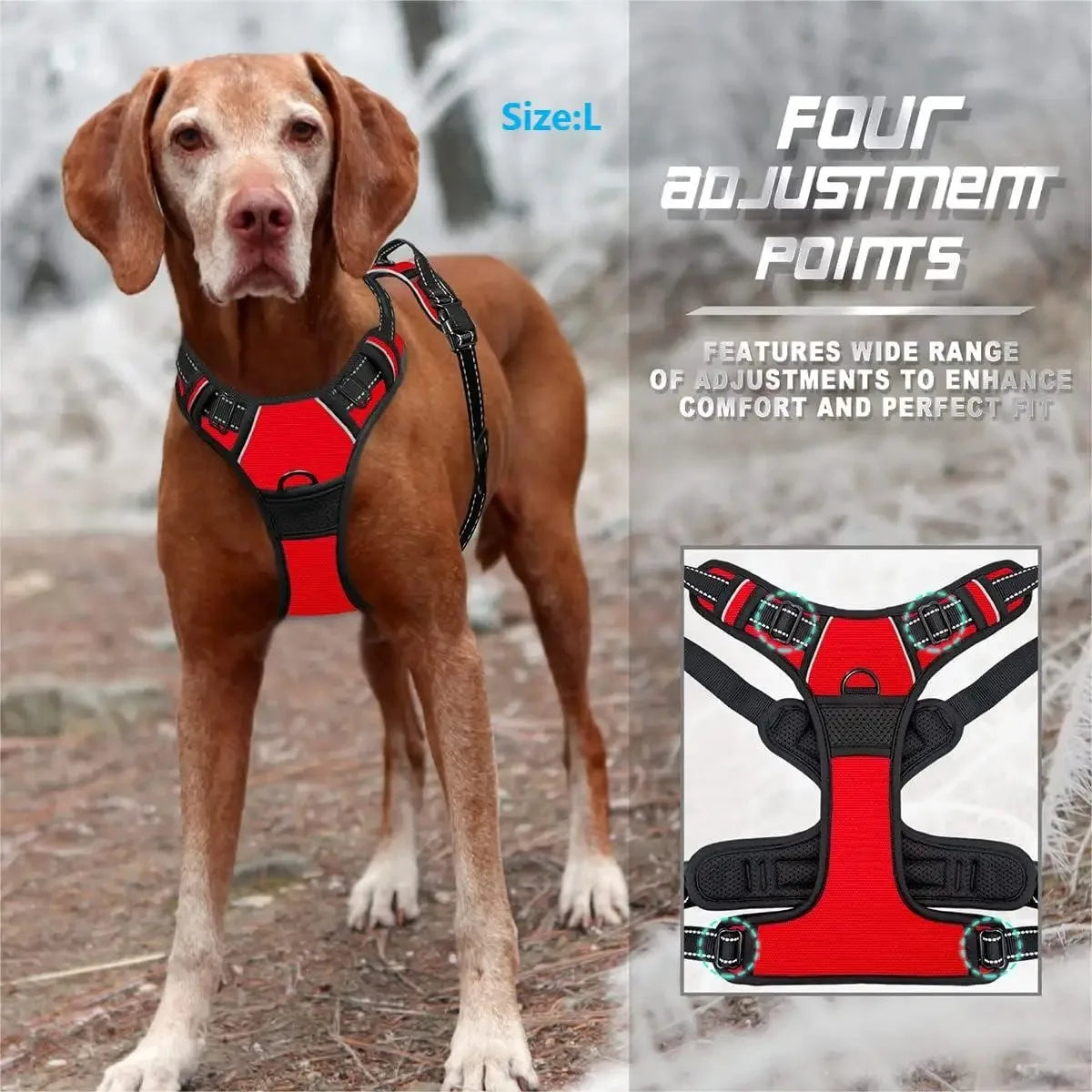 ComfortFit Leather Dog Harness & Collar Set